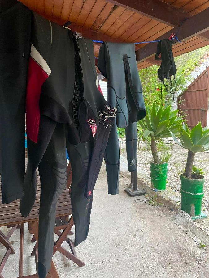 Casa Rural Con Piscina Viajar Con Mascota Gaucín Eksteriør billede