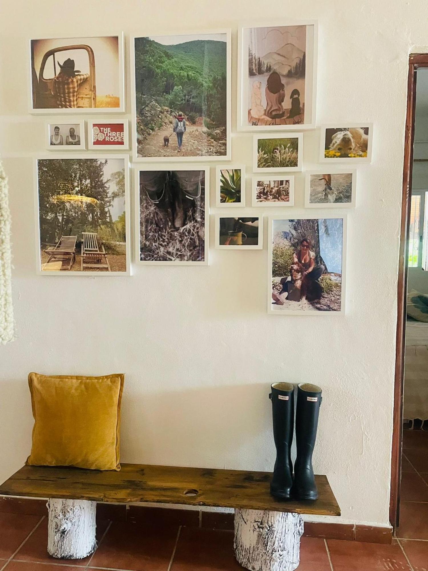 Casa Rural Con Piscina Viajar Con Mascota Gaucín Eksteriør billede